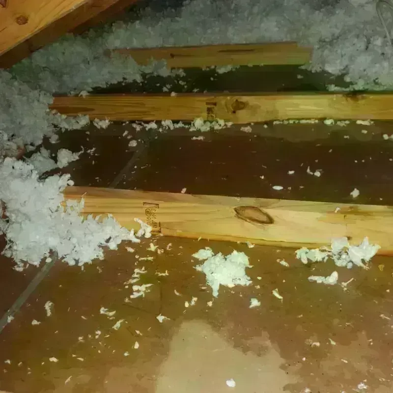 Best Attic Water Damage Service in Fayette County, IN